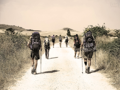 Camino de Santiago